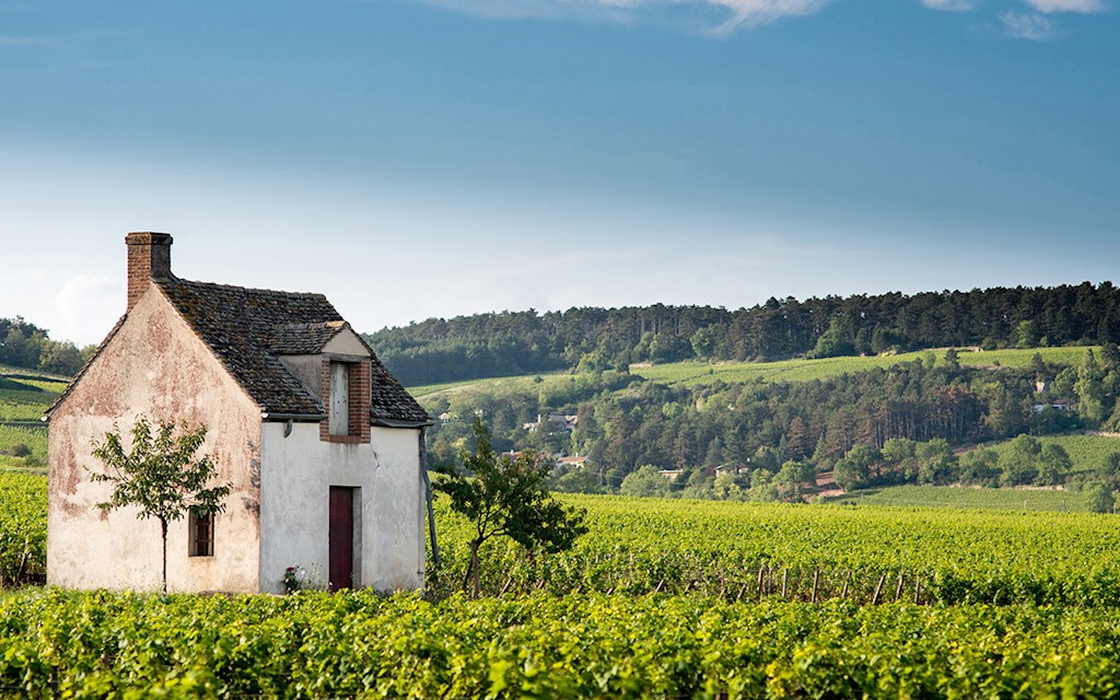 Domaine Clos De La Chapelle Pommard Premier Cru Les Grands Epenots